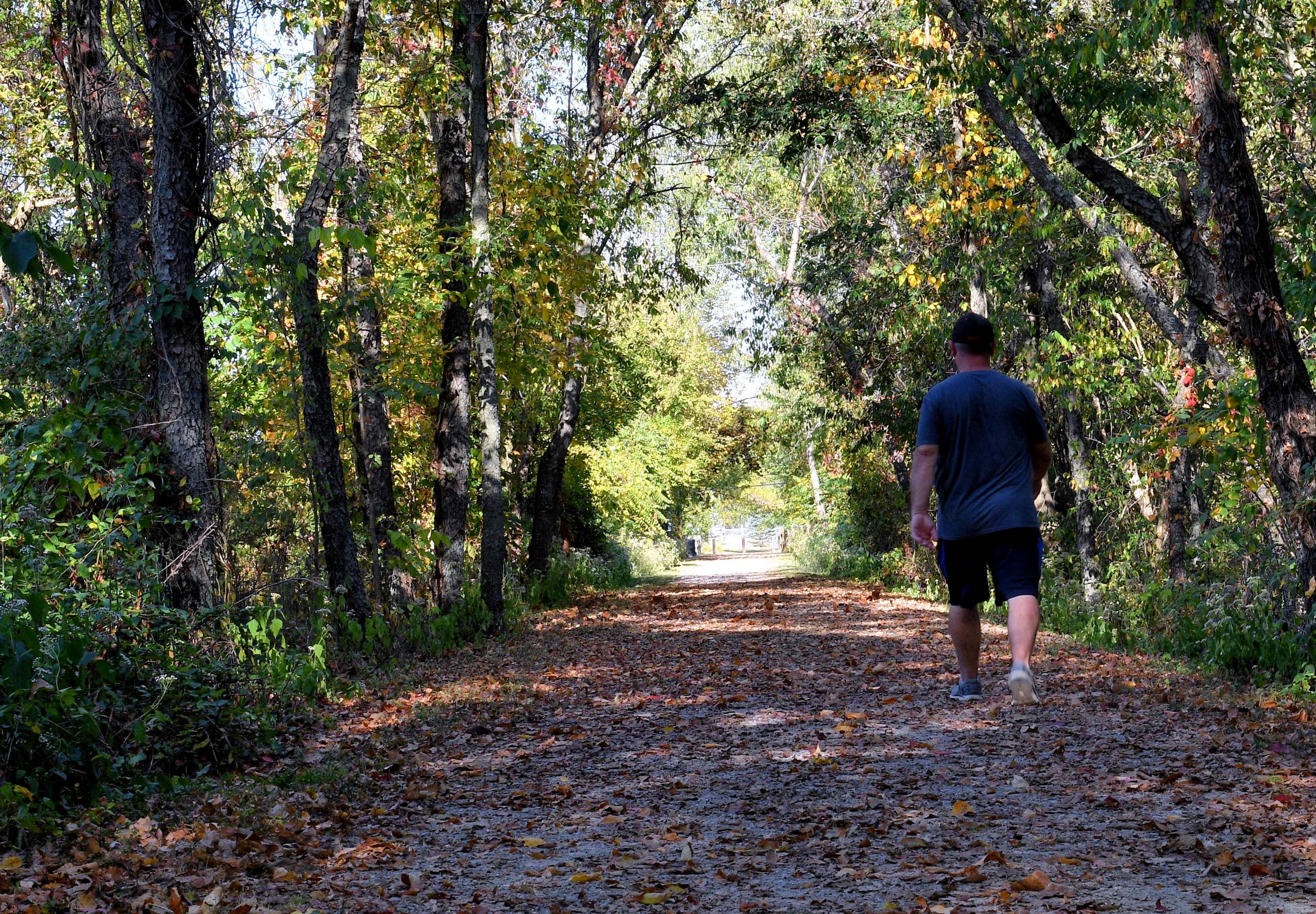 A person walks down a trail with trees